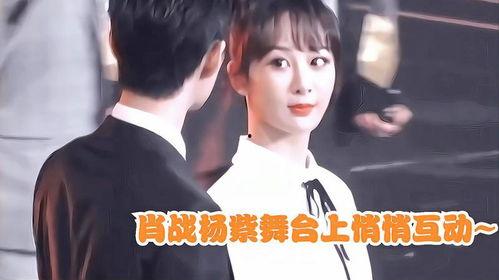 肖战杨紫最新圈内爆料是哪一期,哪一期节目引发热议？