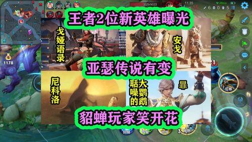新英雄爆料最新信息大全,全方位解析最新信息大全